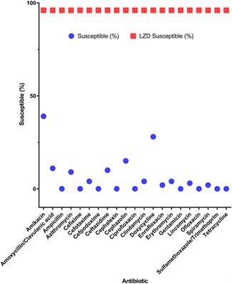 Efficacy of Tigecycline and Linezolid Against Pan-Drug-Resistant Bacteria Isolated From Companion Dogs in South Korea